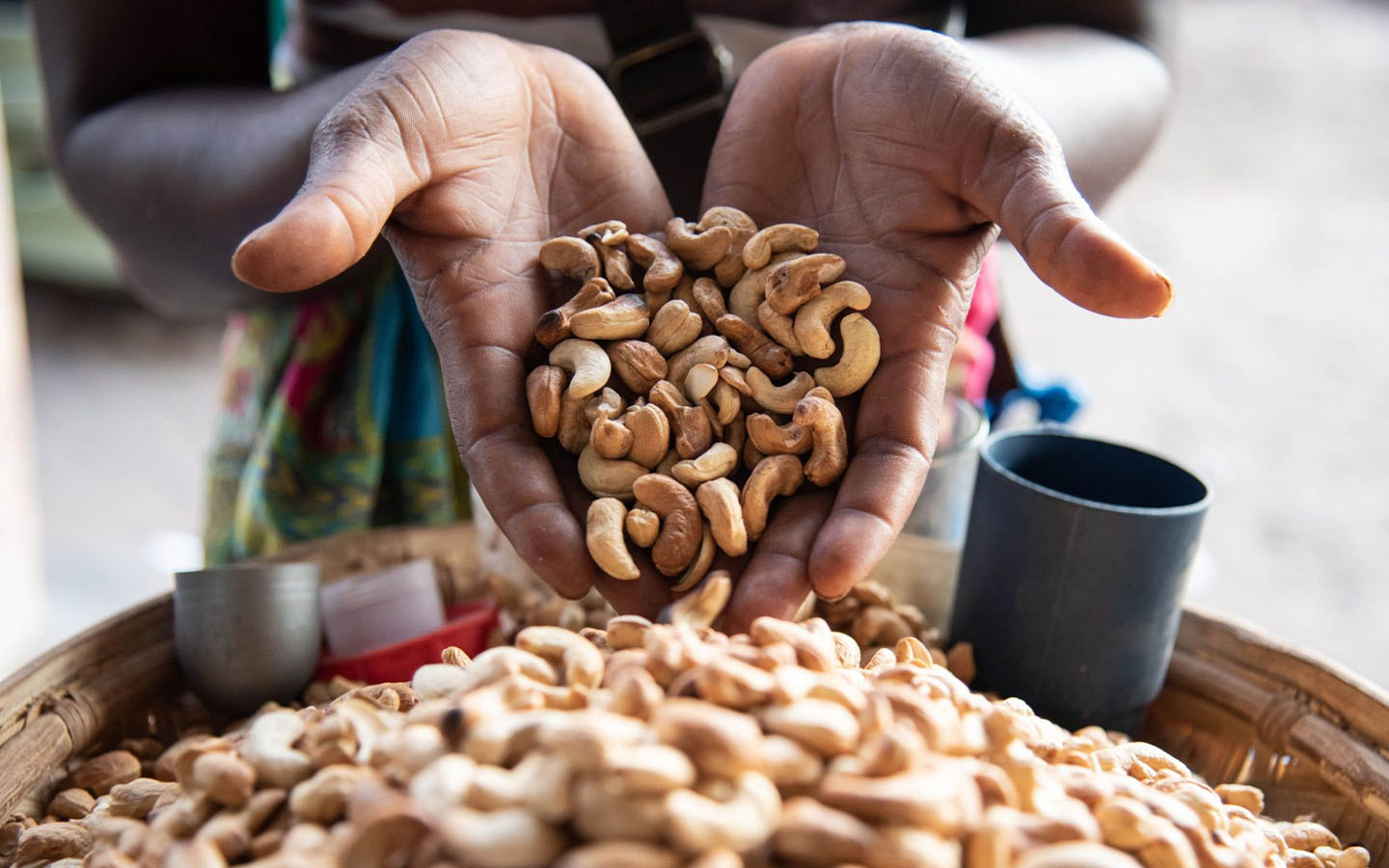 Mozambique-Cashew