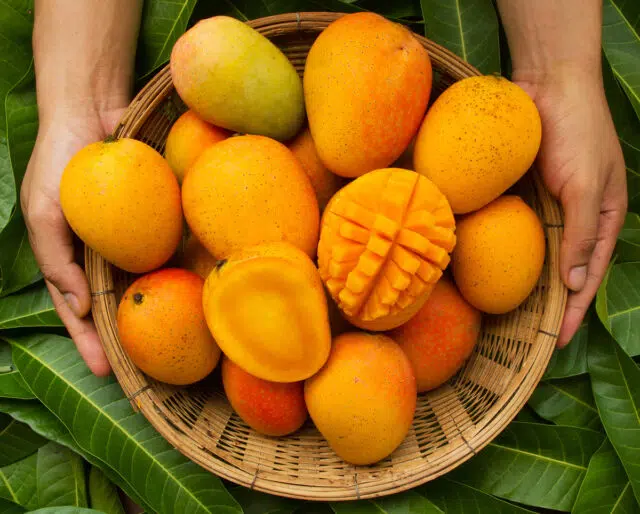 mango