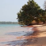 Bissau Shore Bissau Shore