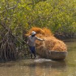 man on the shore man on the shore